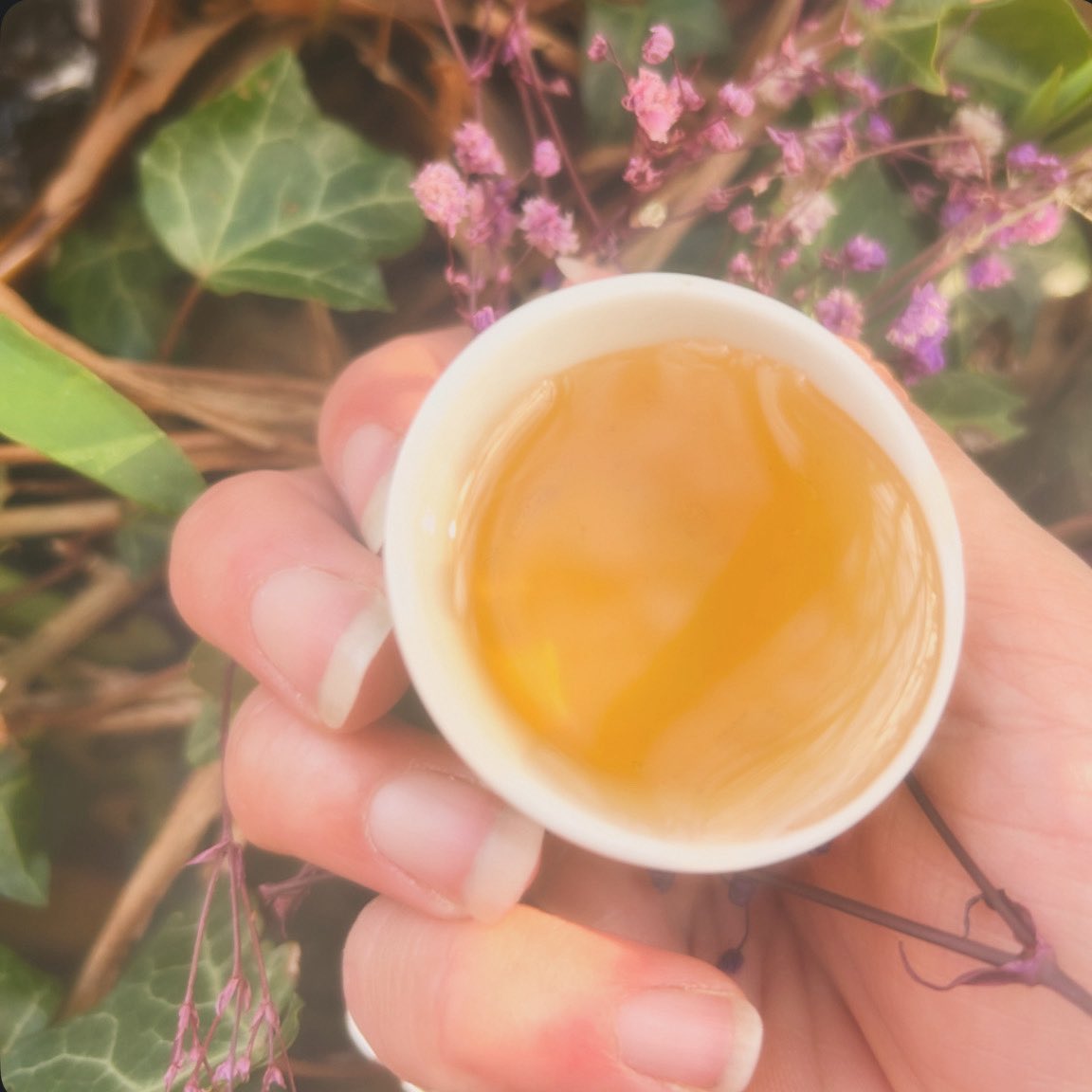 Emma ♡💜 tweet media