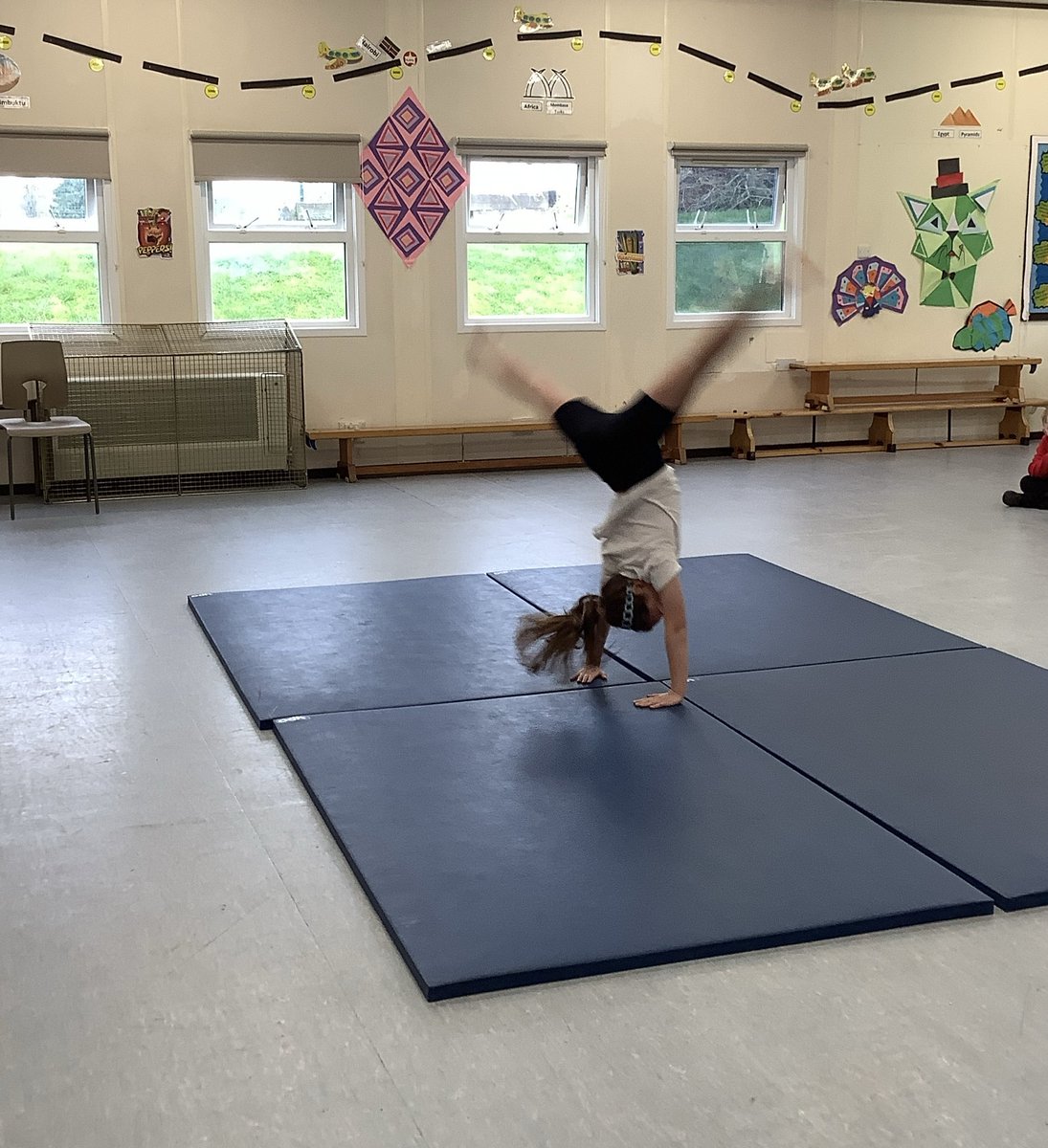 Millhouse Primary tweet media