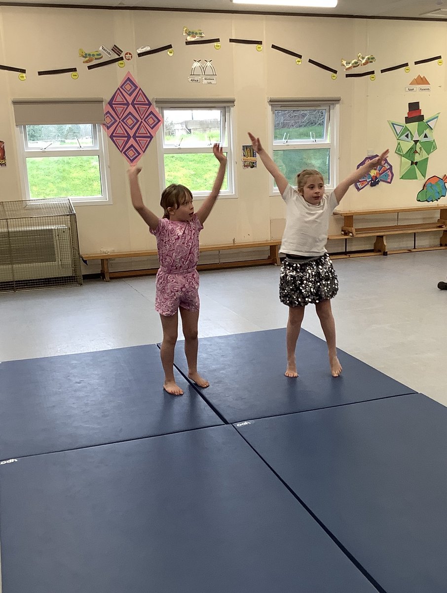 Millhouse Primary tweet media