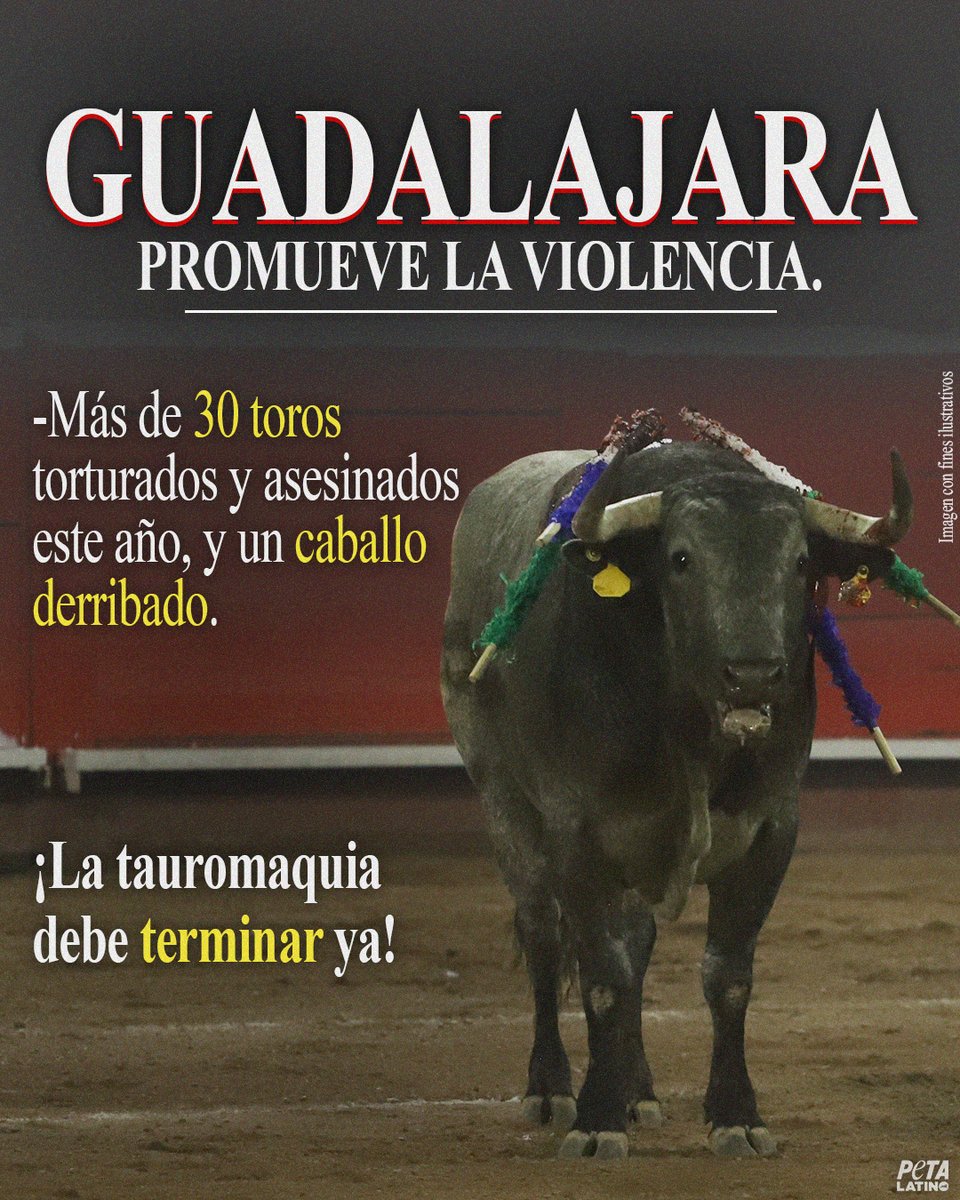 PETA Latino tweet media