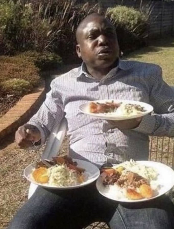 القط الاسود tweet media