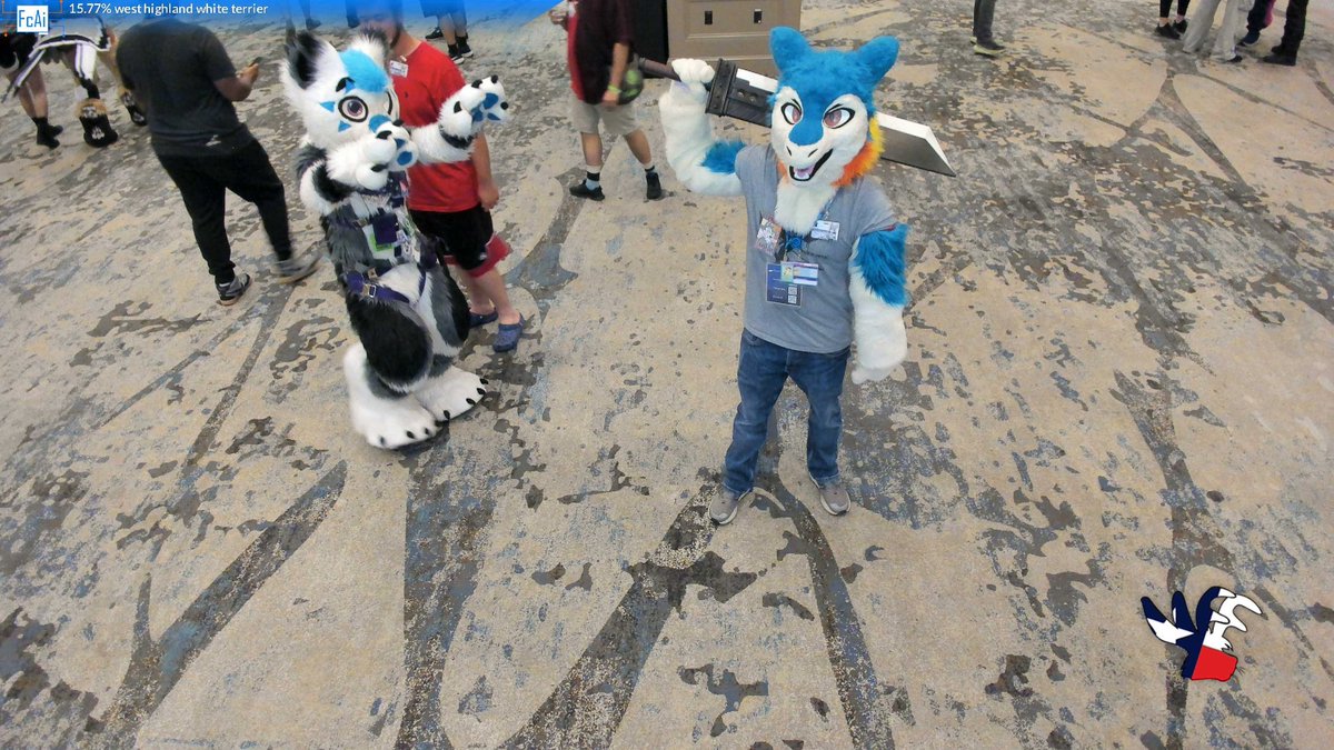 Roy Figaro 🔜 FWA tweet media