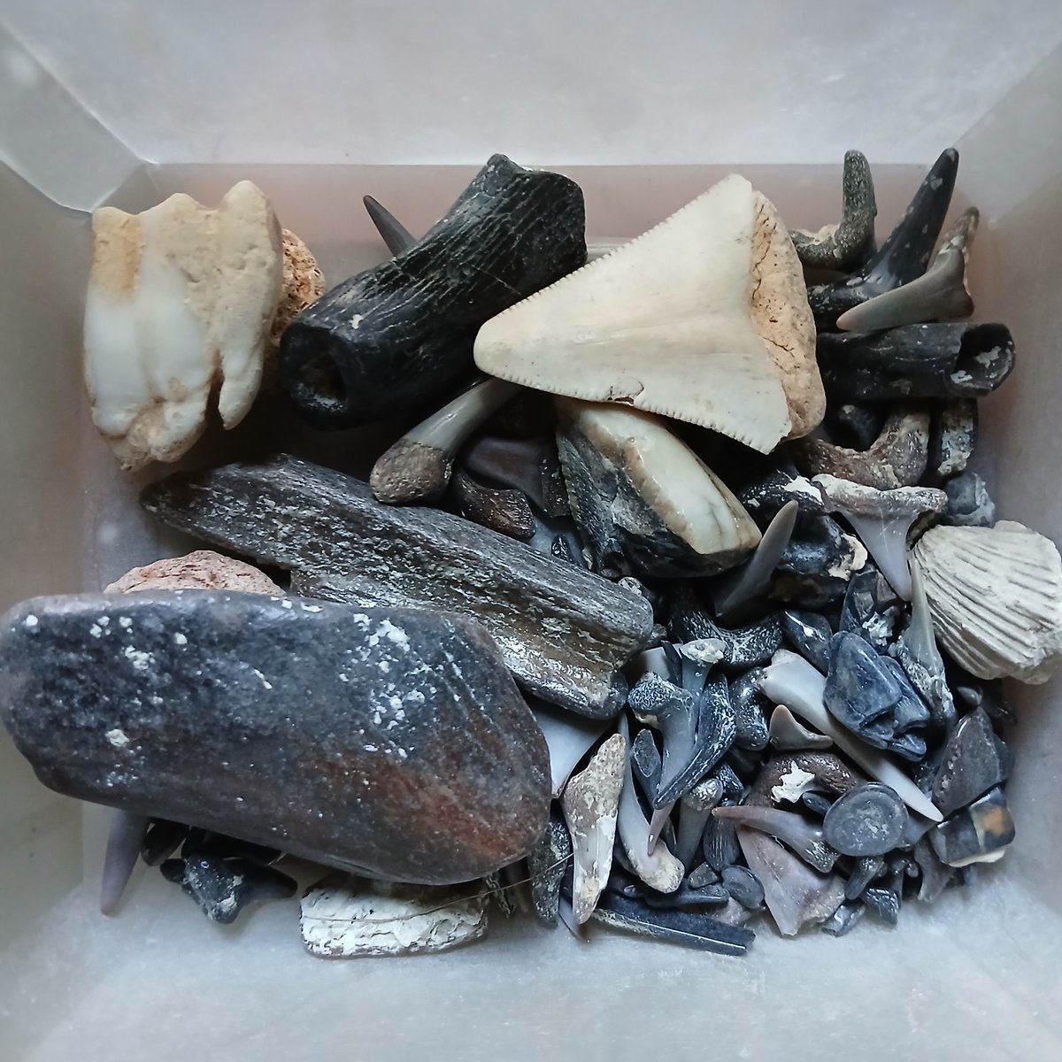 Mr Knock ⚛️ tweet media