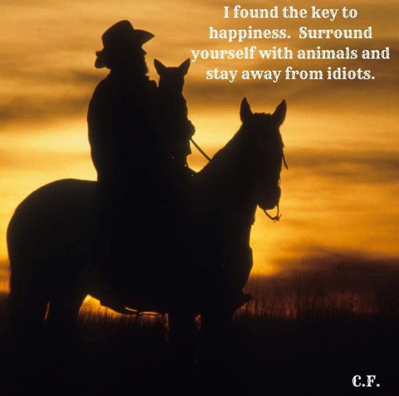 Sharyl Rhoades tweet media