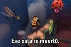 Opticausa tweet media