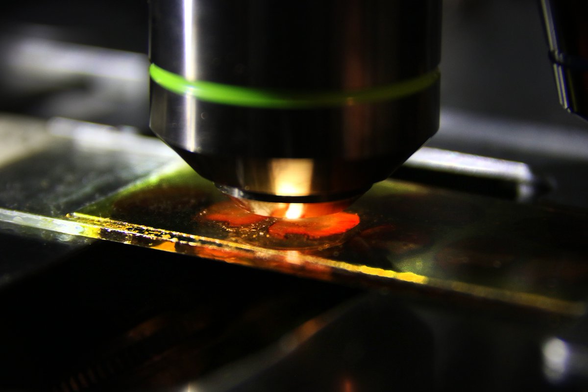 Instituto Clemente Estable tweet media