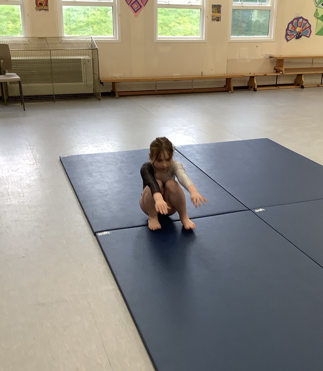 Millhouse Primary tweet media
