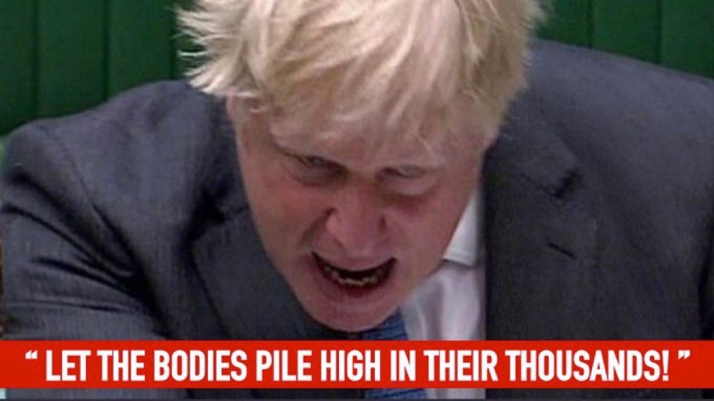 Cathy Bell tweet media