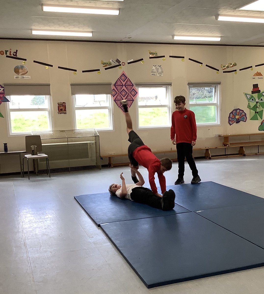 Millhouse Primary tweet media