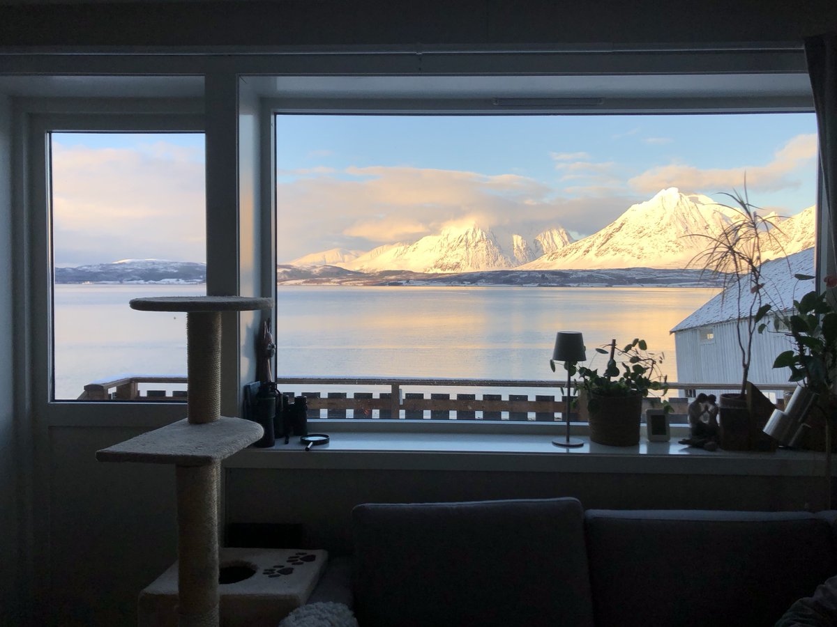 Simon Wood tweet media