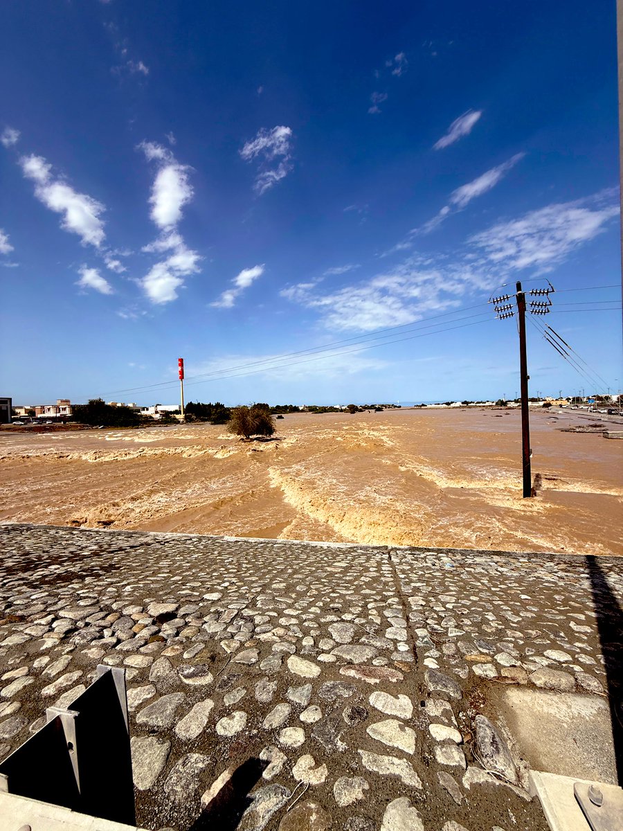 I M M O R T A L ♡ tweet media