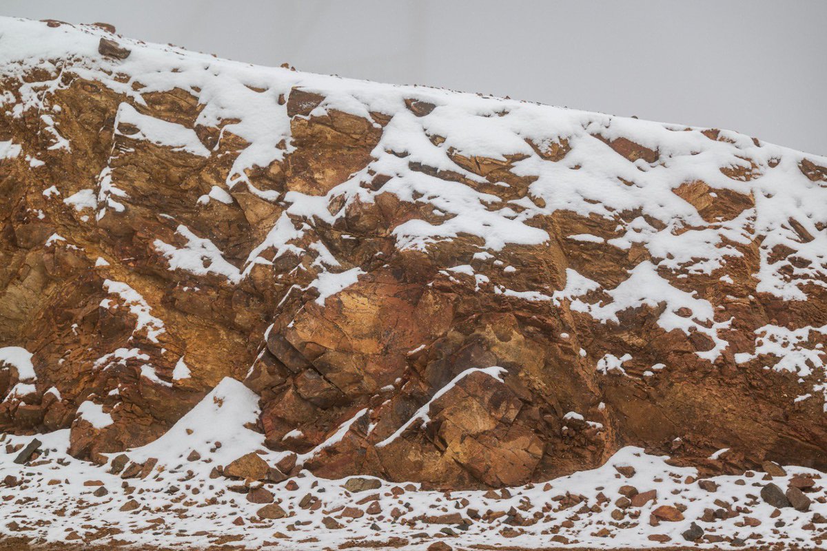 محمد الشريف tweet media