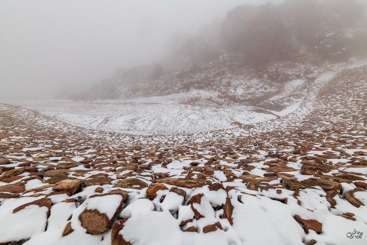 محمد الشريف tweet media