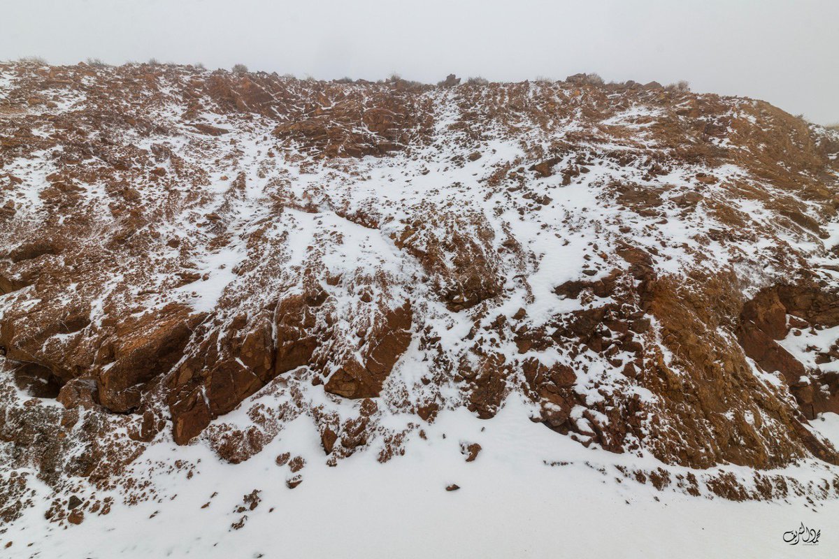 محمد الشريف tweet media