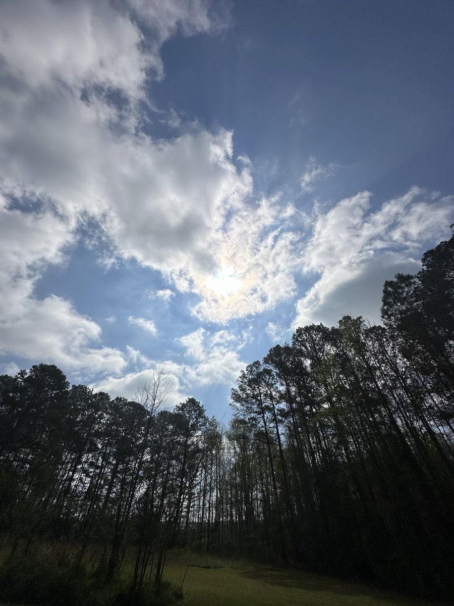 babygirl jackson tweet media