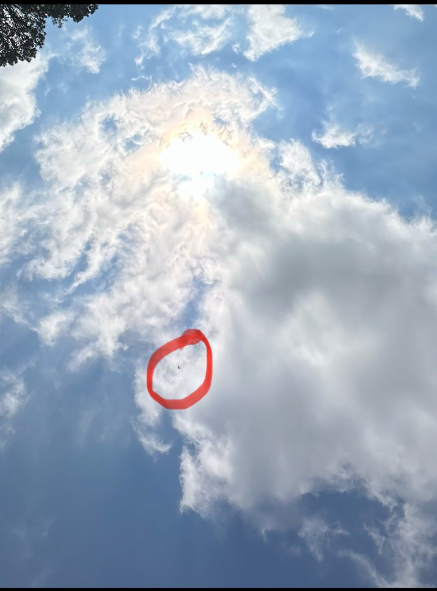 babygirl jackson tweet media