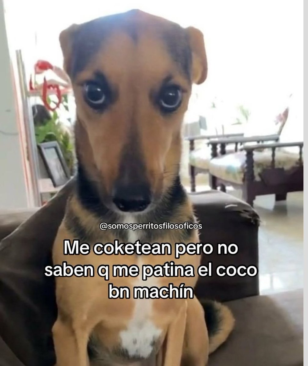 Celic °• tweet media