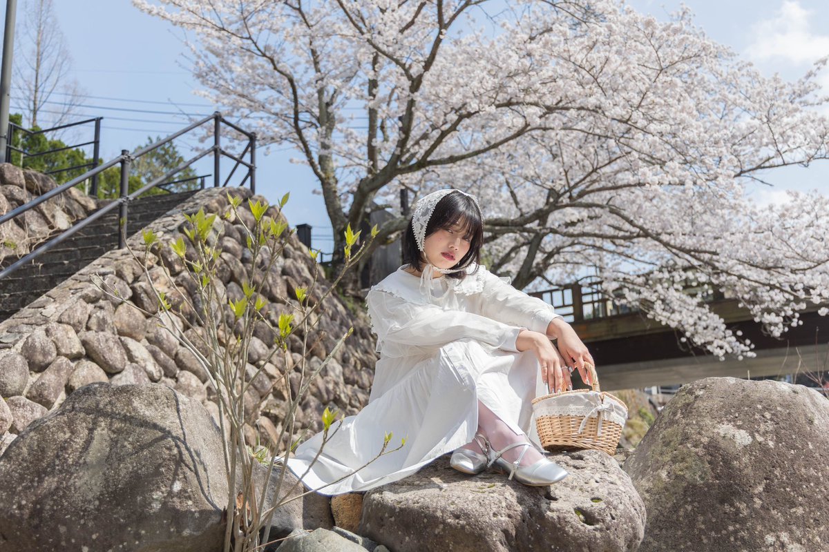 椿白華 tweet media