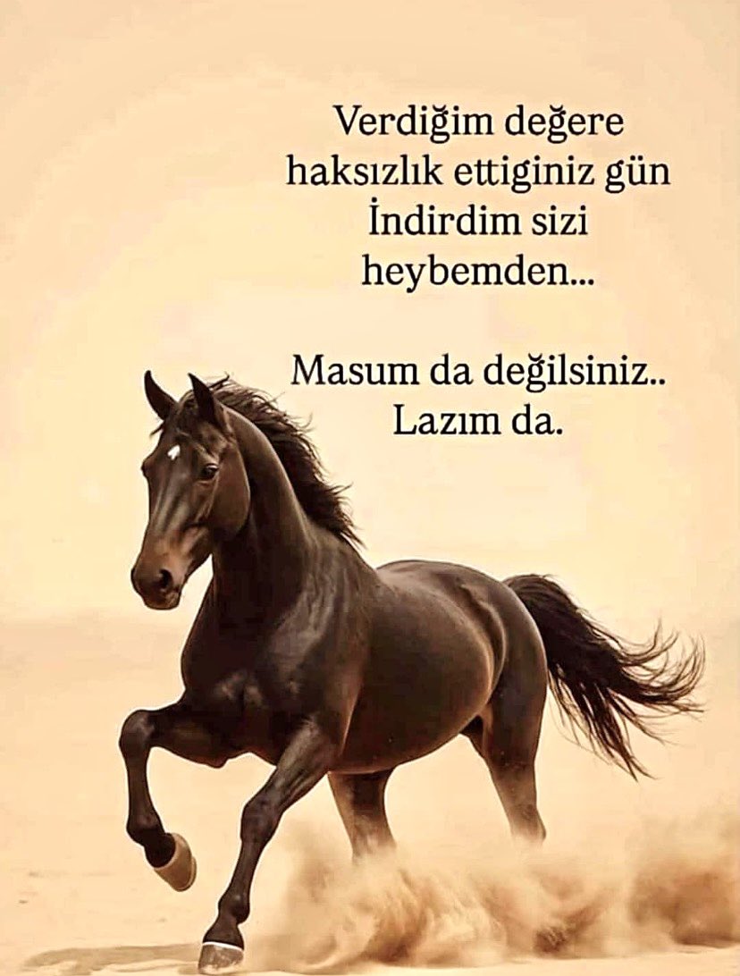 Black Sea Wind 6116 Kuzey Bey (Northerner) tweet media