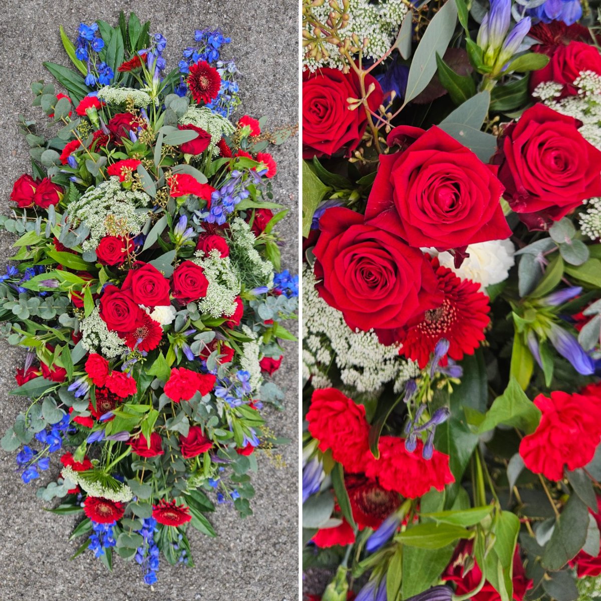 Donna Beaver 💙 tweet media