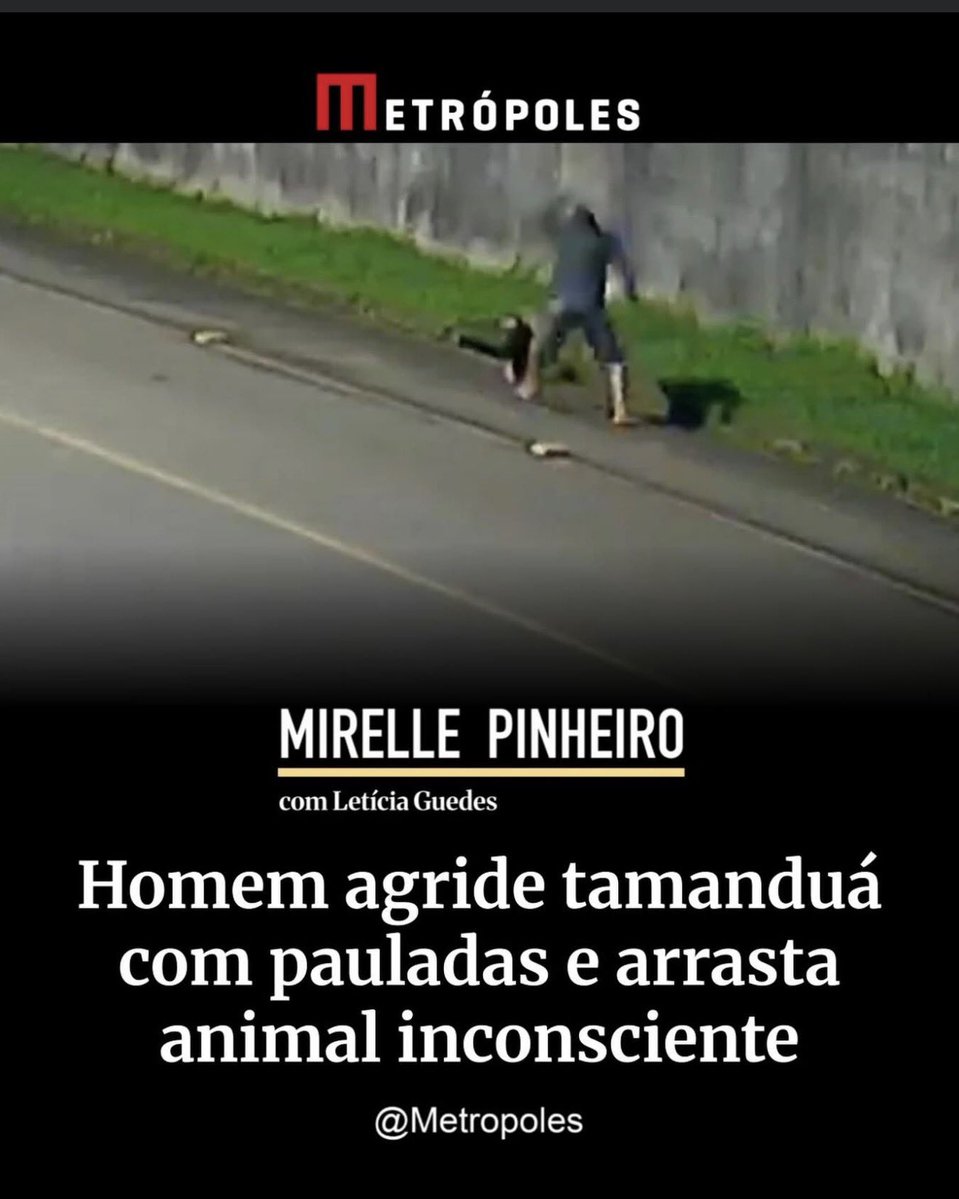 Paula Zanelli tweet media