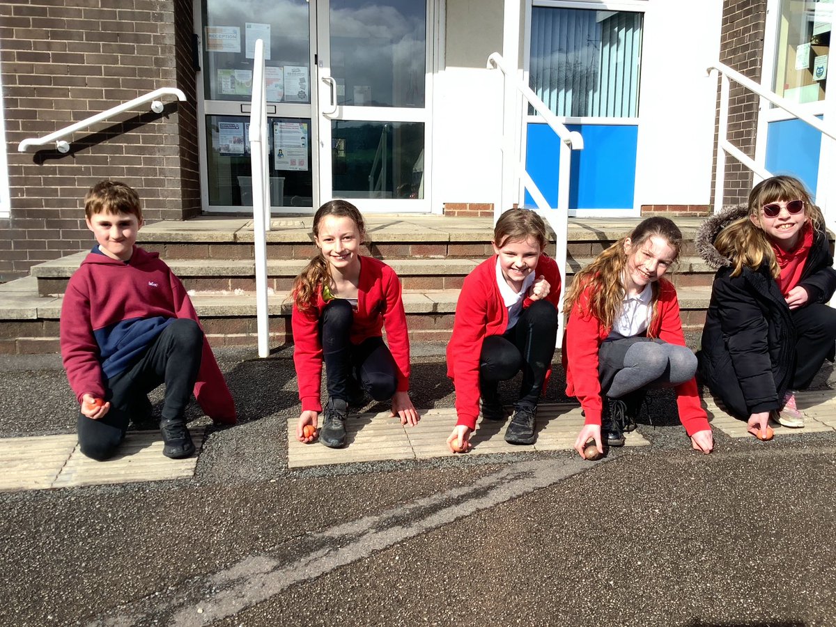 Millhouse Primary tweet media