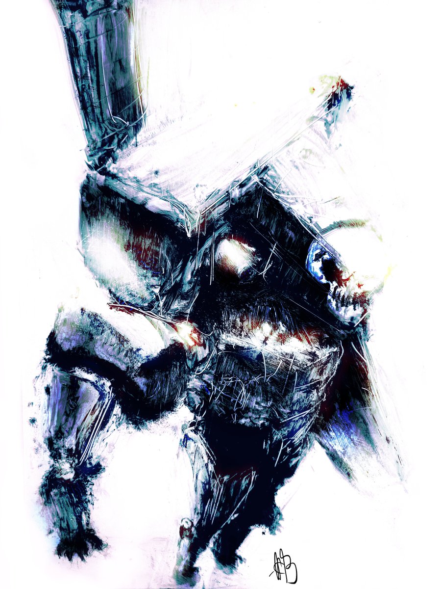 L'auteur chat tweet media