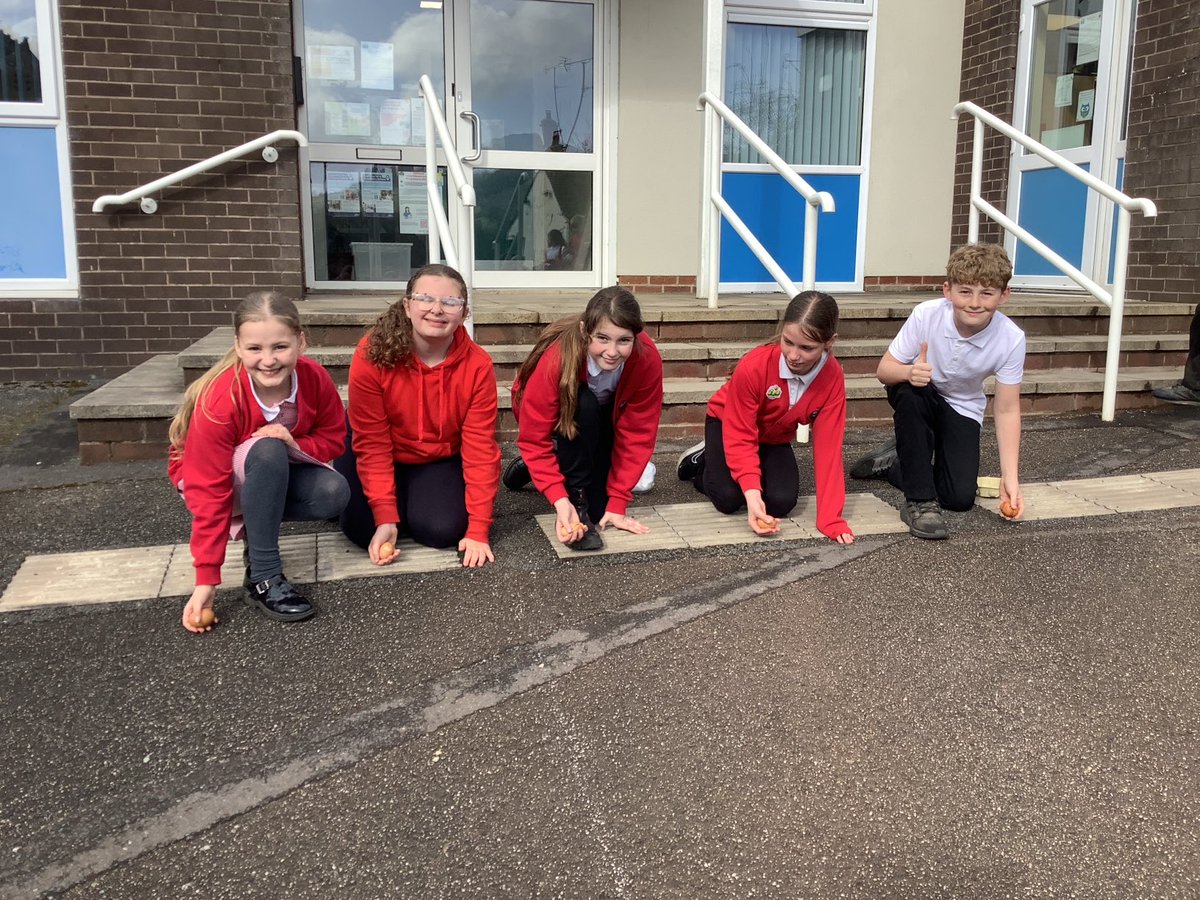 Millhouse Primary tweet media