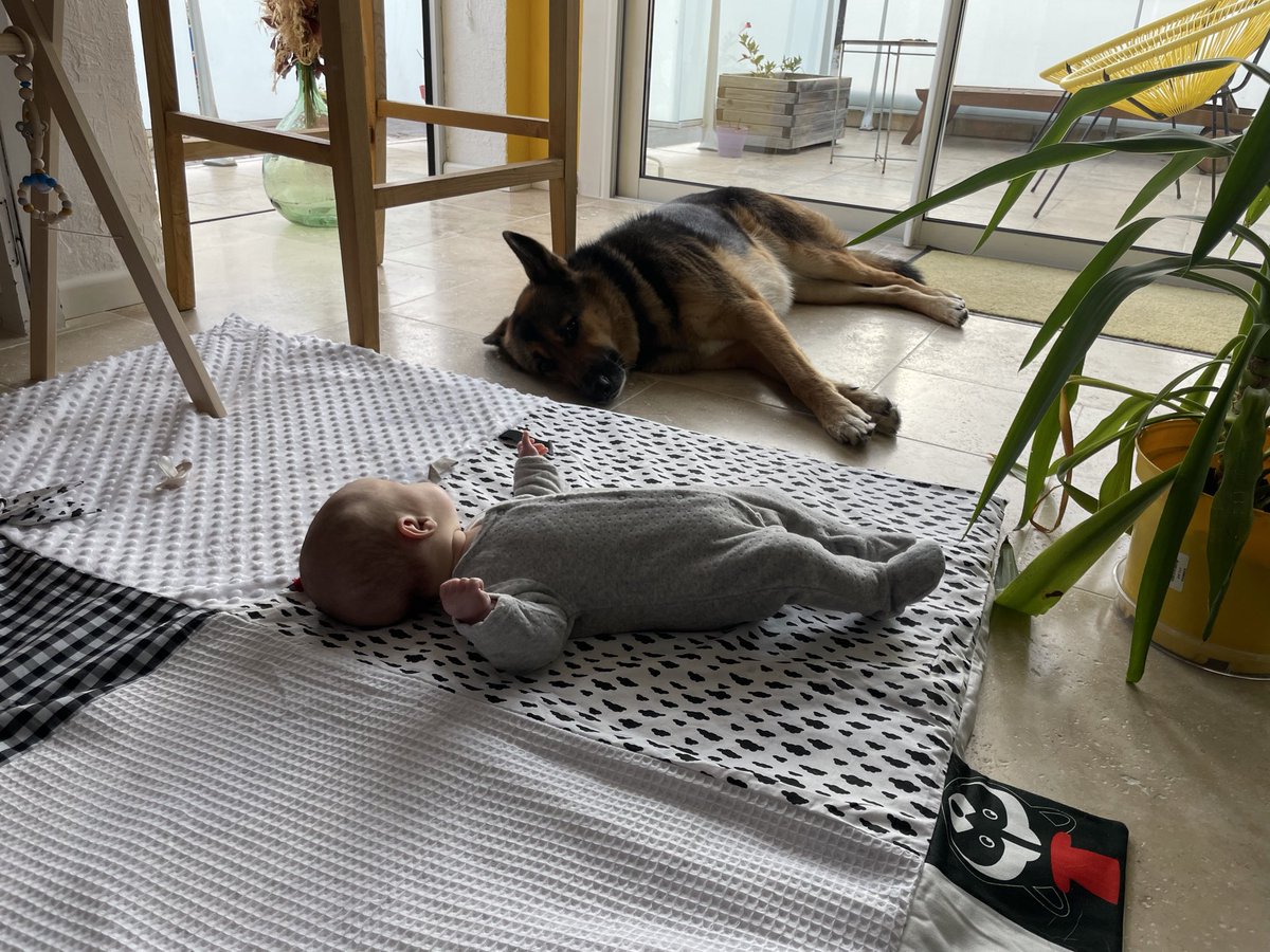 Elo Megaph 🌻 tweet media