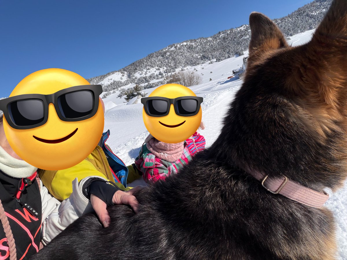 Elo Megaph 🌻 tweet media