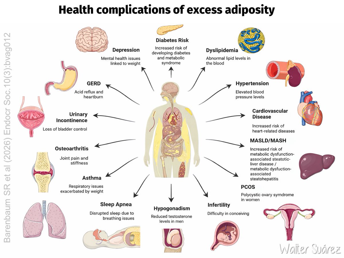 Walter Suárez Carmona tweet media