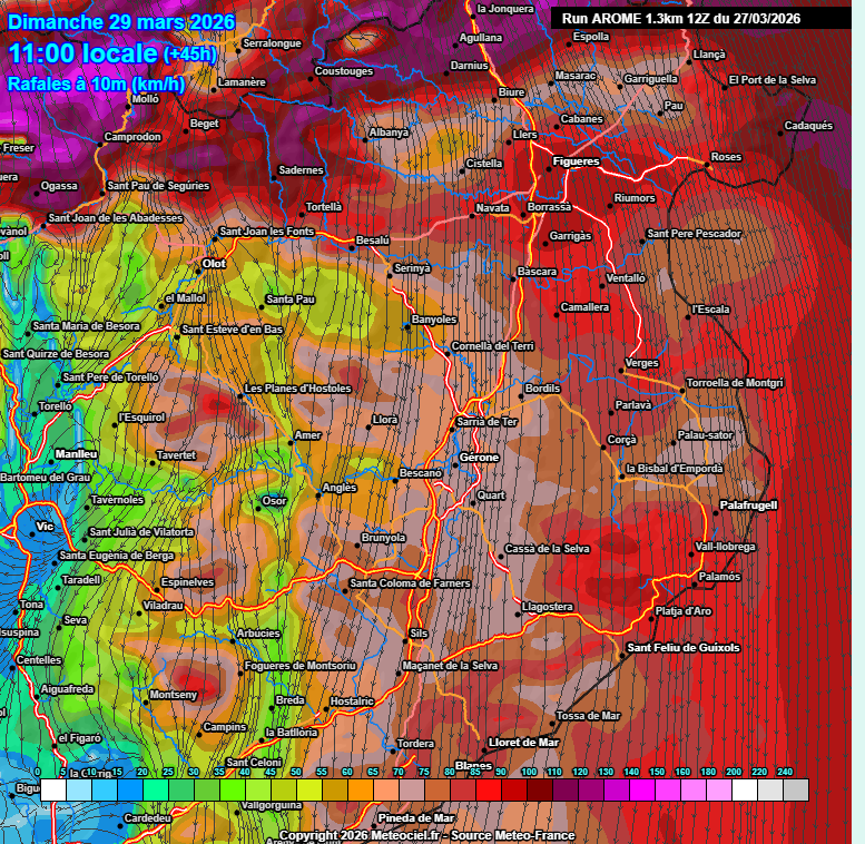 Marc Gassó Torrents tweet media