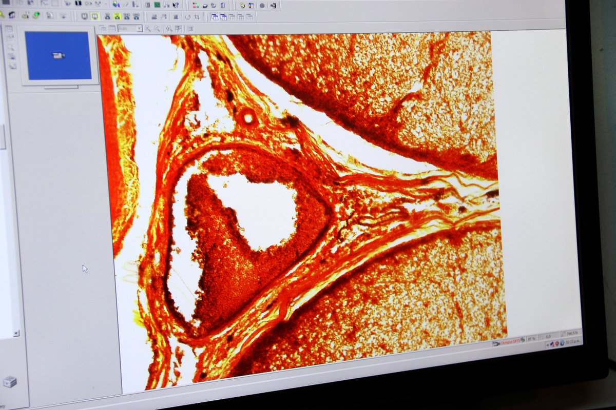 Instituto Clemente Estable tweet media