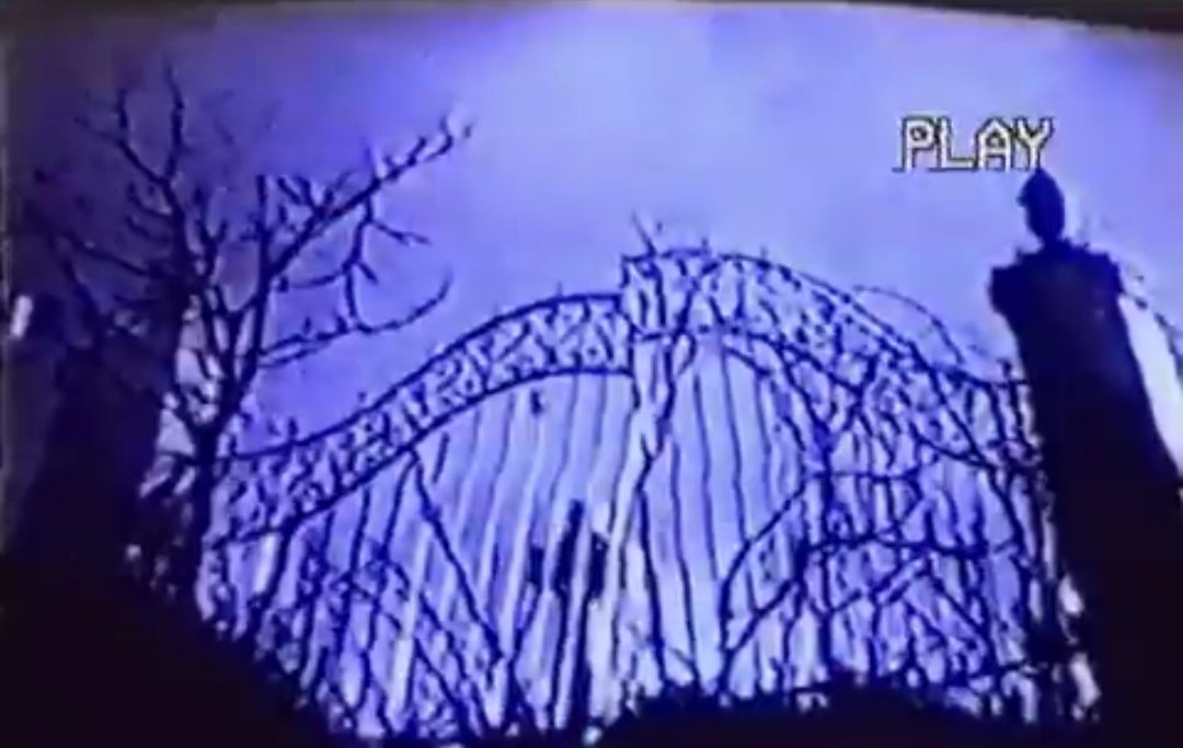 Kast Njord (OC) tweet media