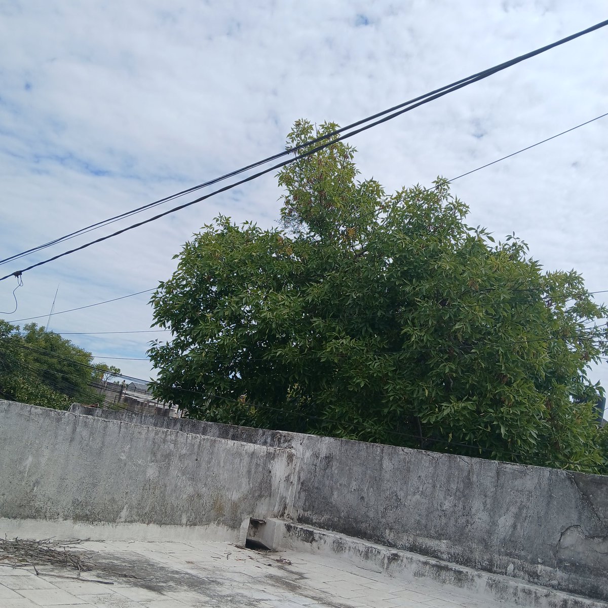 Lulú🧚♀️'Au📌 tweet media