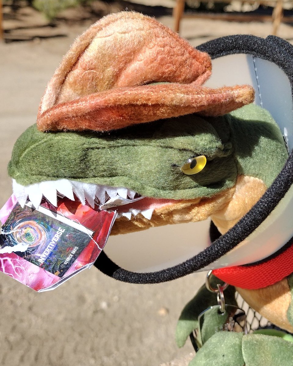 Derrick Davis Media tweet media