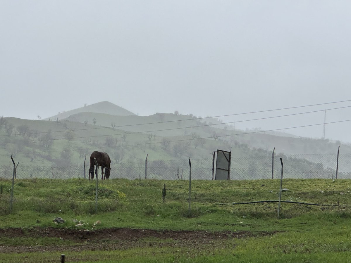 Parwa_abubaker tweet media