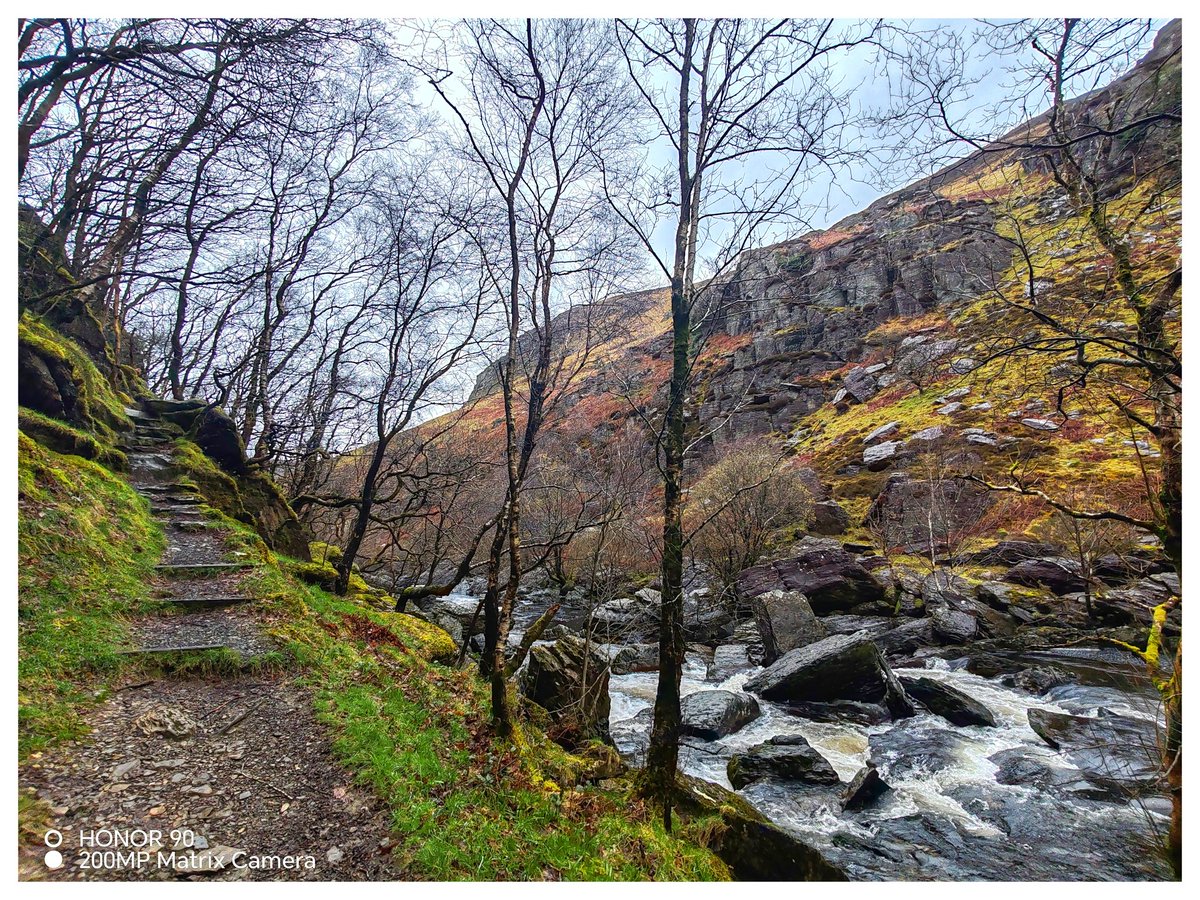 Martin Whittaker tweet media