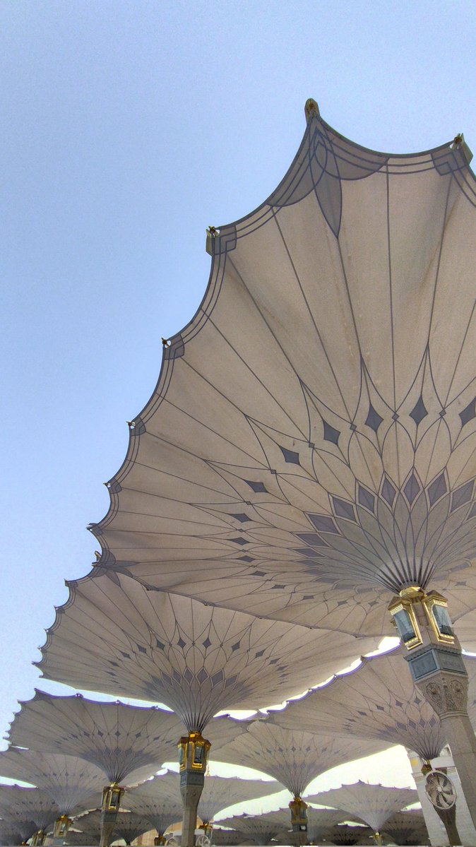 Buzzer MBG, Koperasi Merah Putih, Sekolah Rakyat tweet media