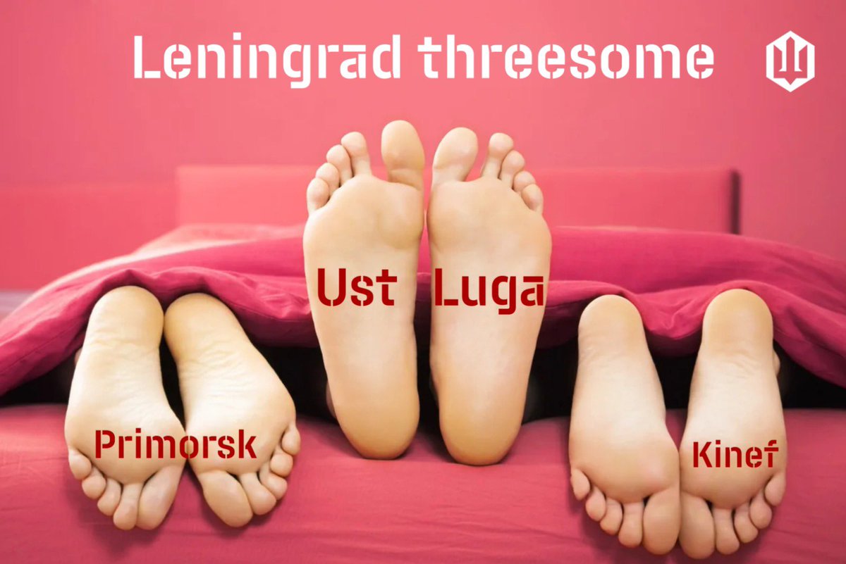 414 Magyar's Birds tweet media