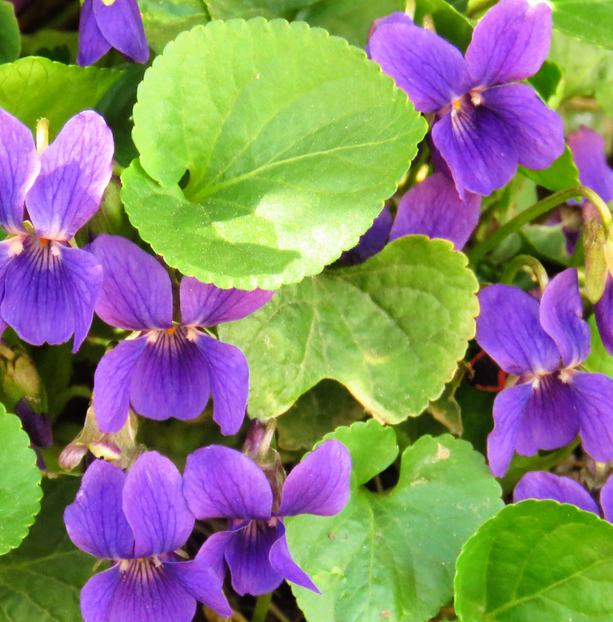 Mr. Perfumer tweet media