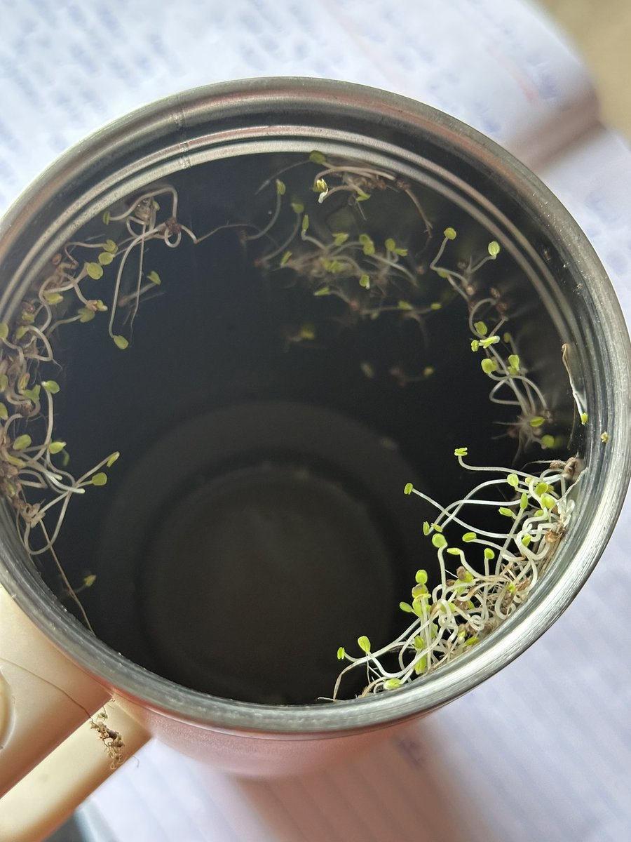 i think you’re amazing , that’s why I tweet media