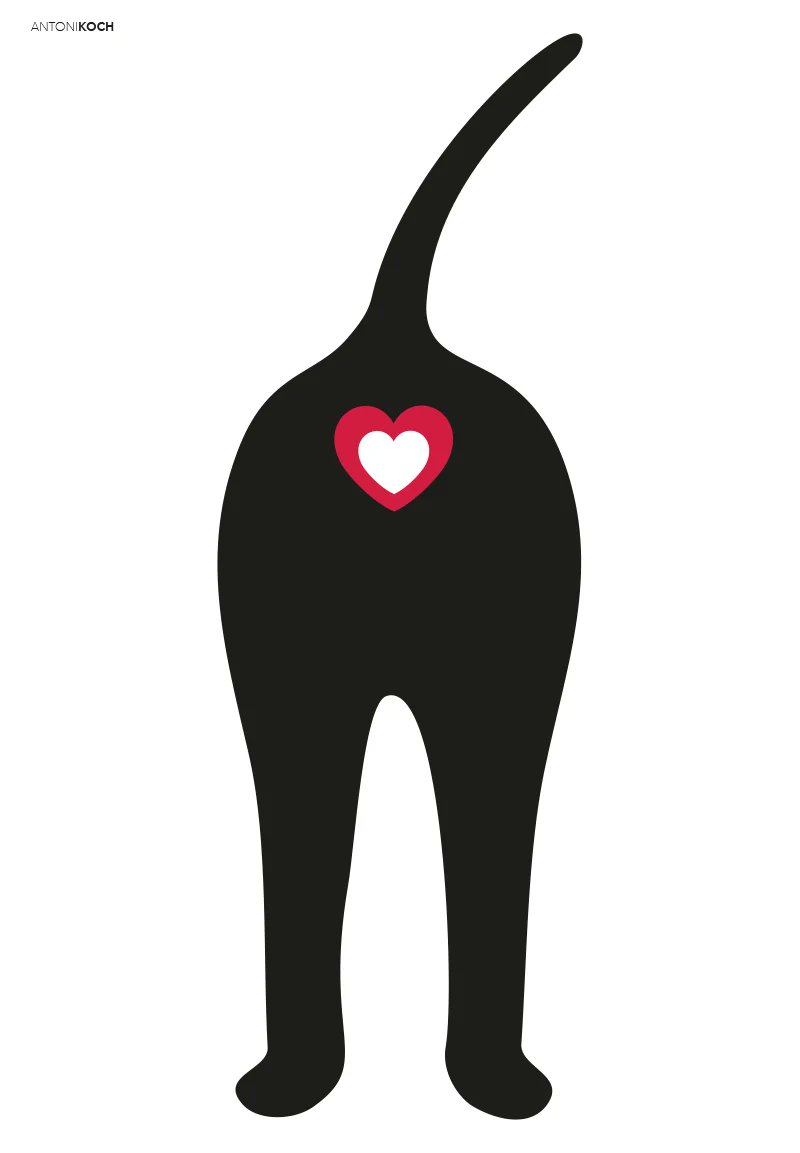 Prawdziwek tweet media