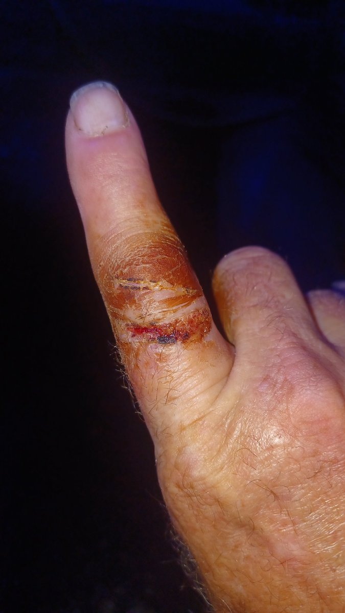 Branch Floridian tweet media