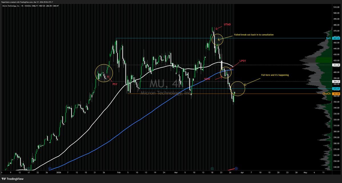 Paper Gains tweet media
