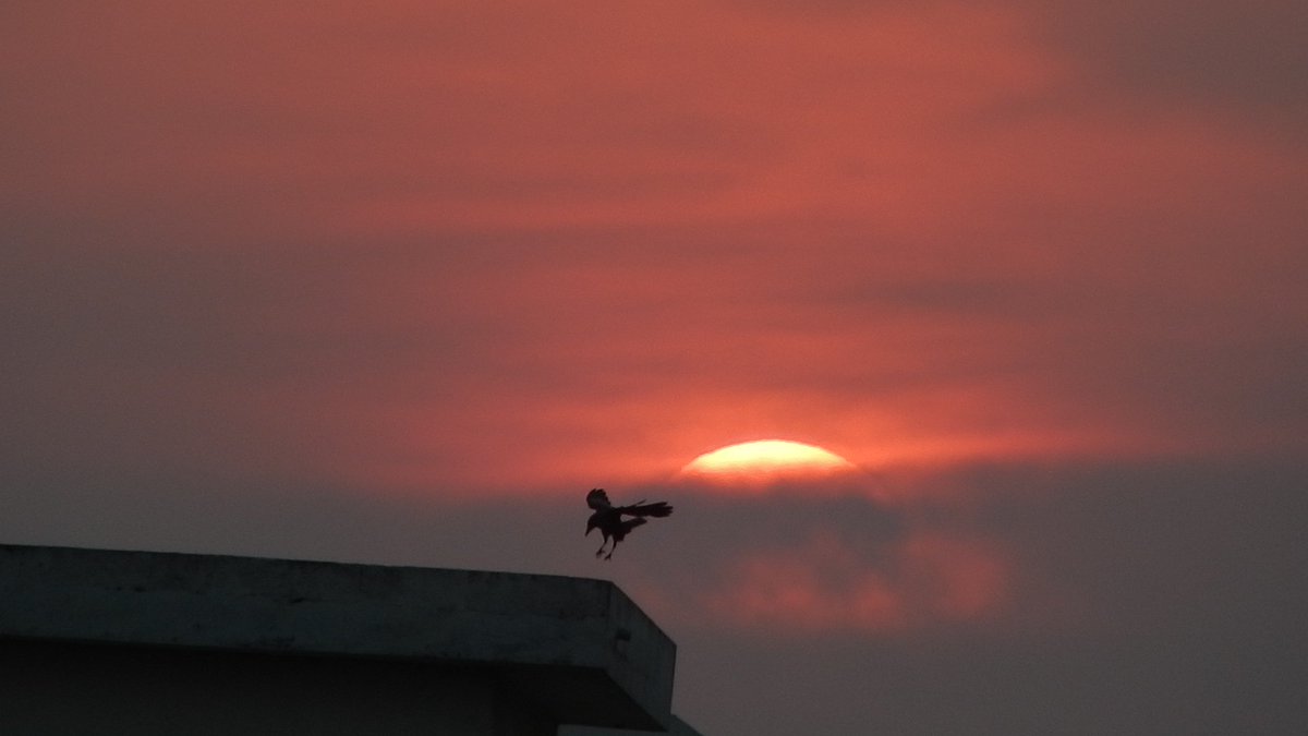 Drop a photo you clicked.   
No text.    
Let it speak..
