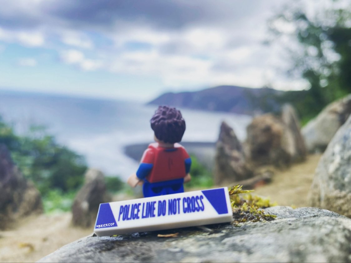 Brick Cop©️ tweet media