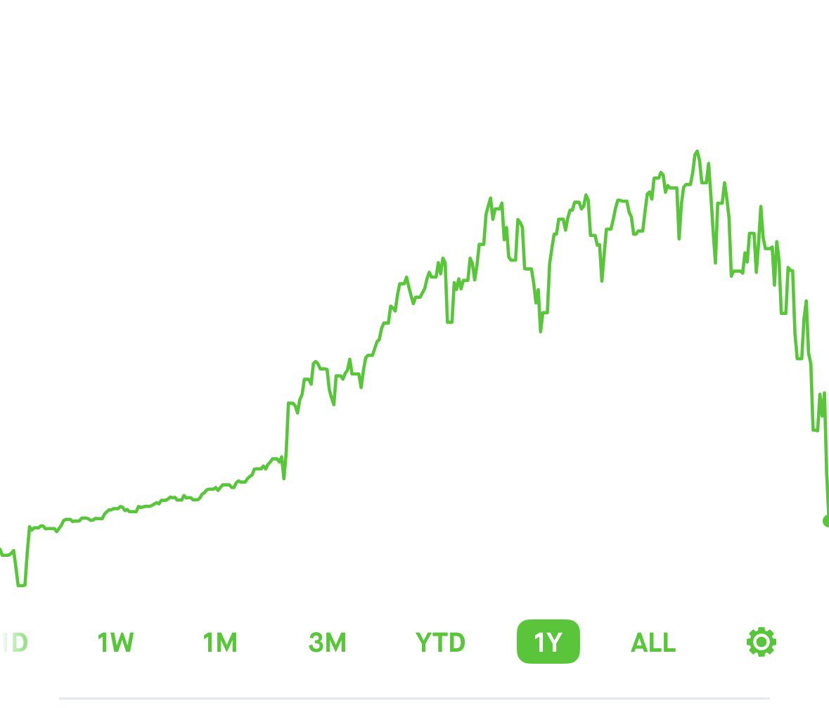 Basil🧡 tweet media