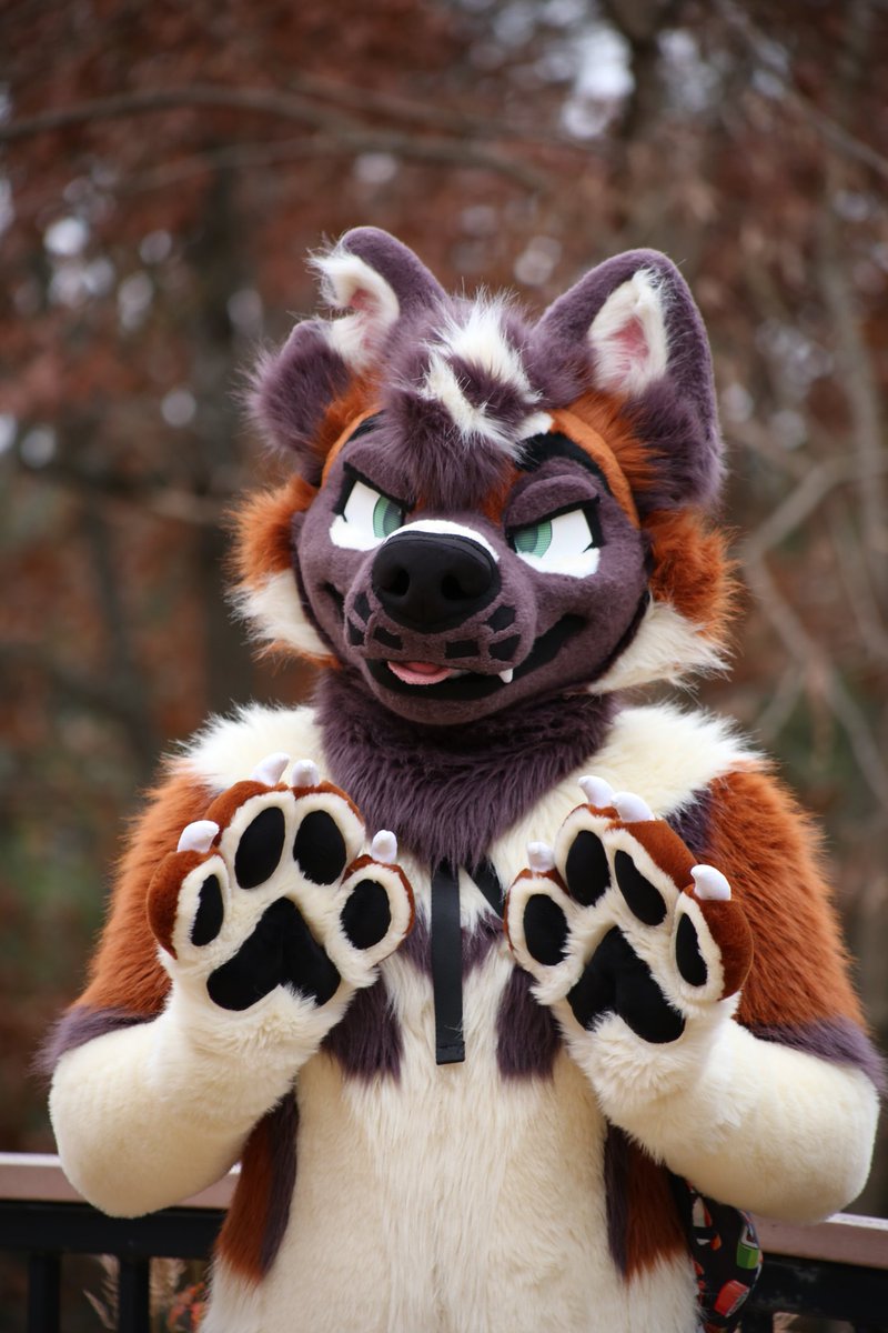 KUMO @ LVFC tweet media