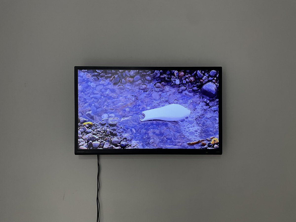 FUJIBAYASHIHaruka tweet media